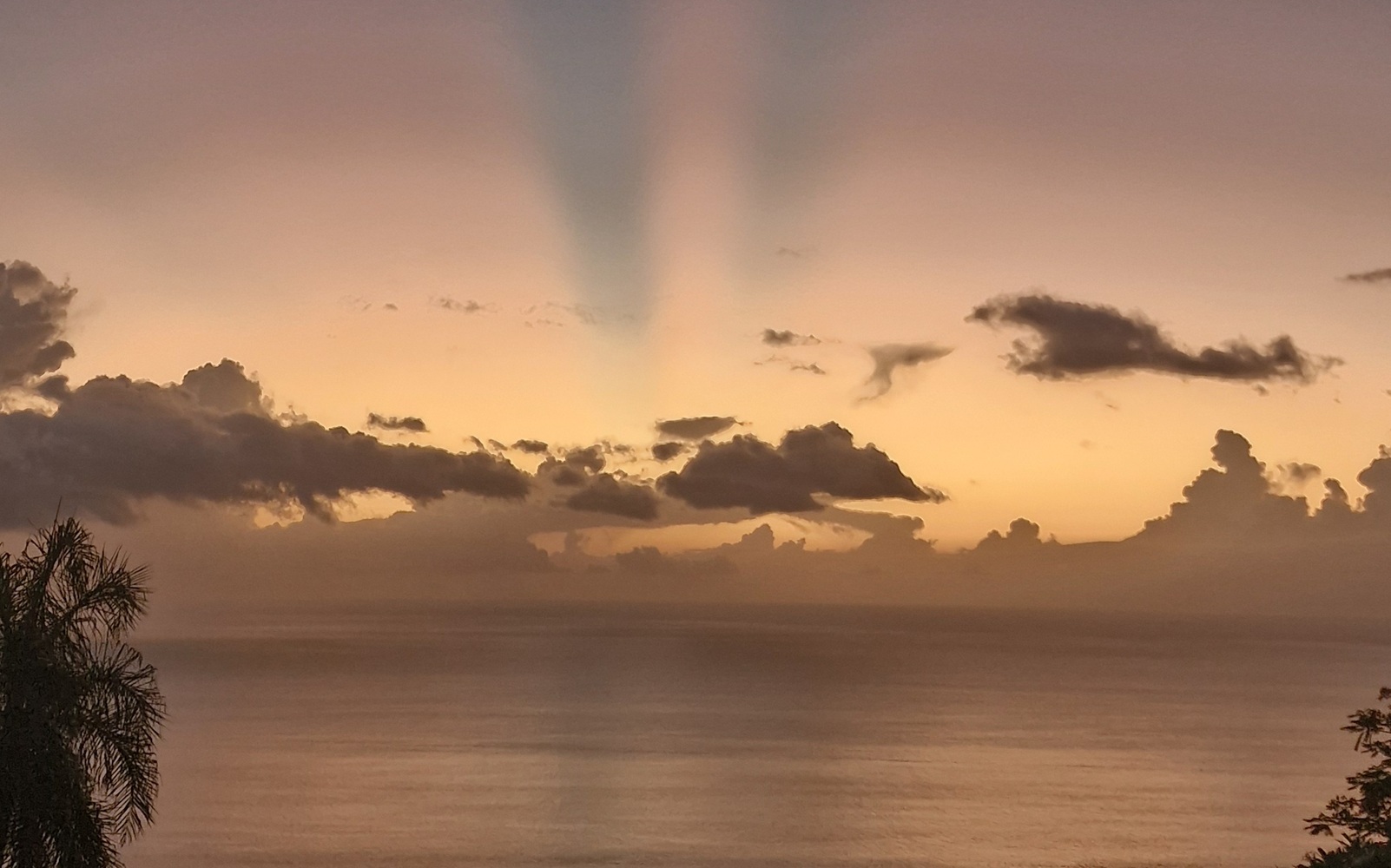 Oasis Privée de Tahiti